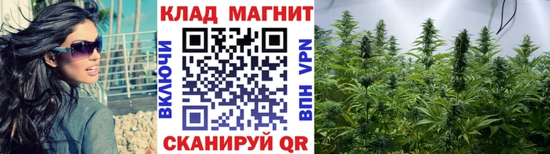 Купить наркотик аптеки Поворино APVP Каннабис Псилоцибиновые грибы ГАШ Меф