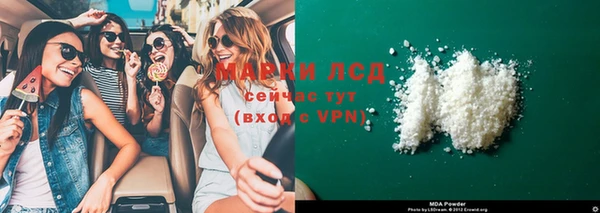 прущие грибы Медвежьегорск