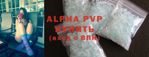 прущие грибы Медвежьегорск