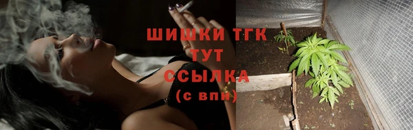 прущие грибы Медвежьегорск