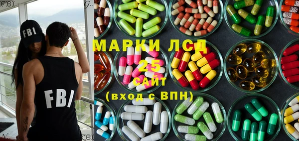 прущие грибы Медвежьегорск