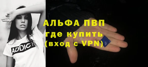 прущие грибы Медвежьегорск