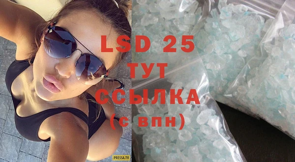 прущие грибы Медвежьегорск