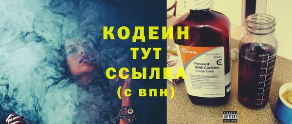 прущие грибы Медвежьегорск