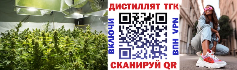 ТГК концентрат  Поворино 