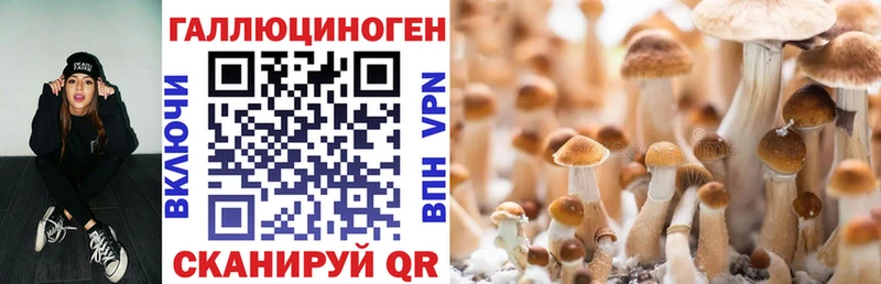 Псилоцибиновые грибы мухоморы  Поворино 